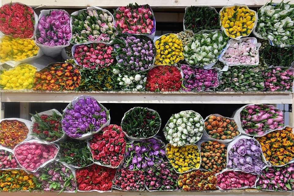 Специалисты выявили два вида карантинных объектов.