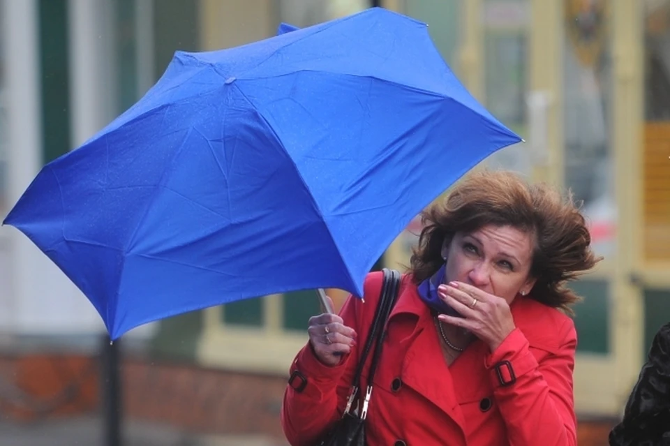 В Магаданской области 31 октября ожидается сильная метель с ветром