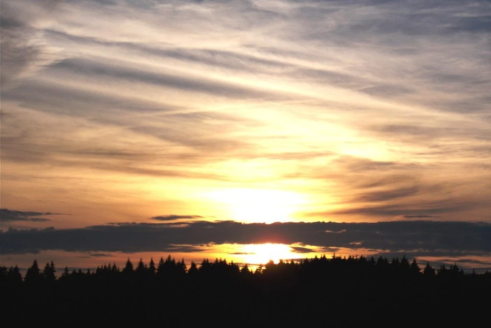 Силы противовоздушной обороны отразили ночную атаку беспилотников.