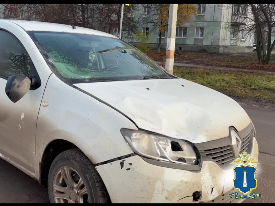 В Димитровграде 30 октября на пешеходном переходе насмерть сбили мужчину | ФОТО: скриншот с видео