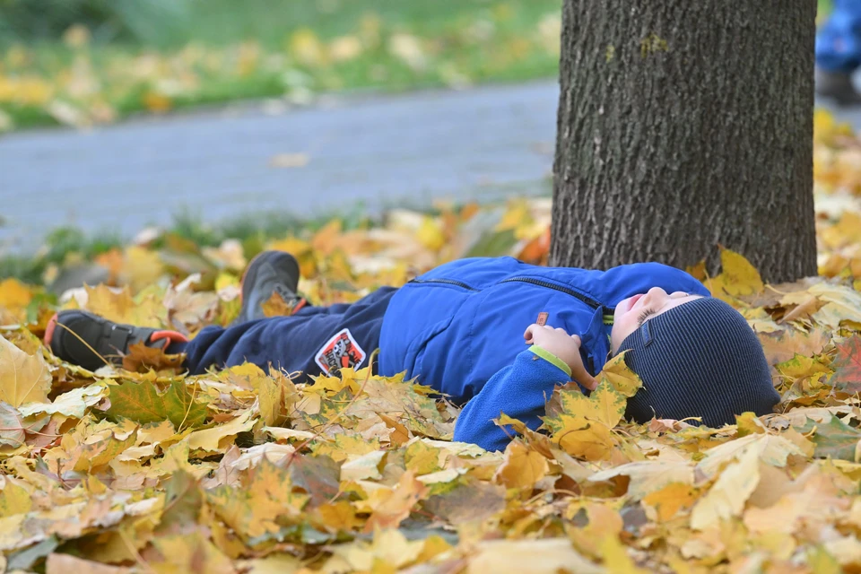 К 2030 году в Кирове будут проживать почти 509 тысяч человек.