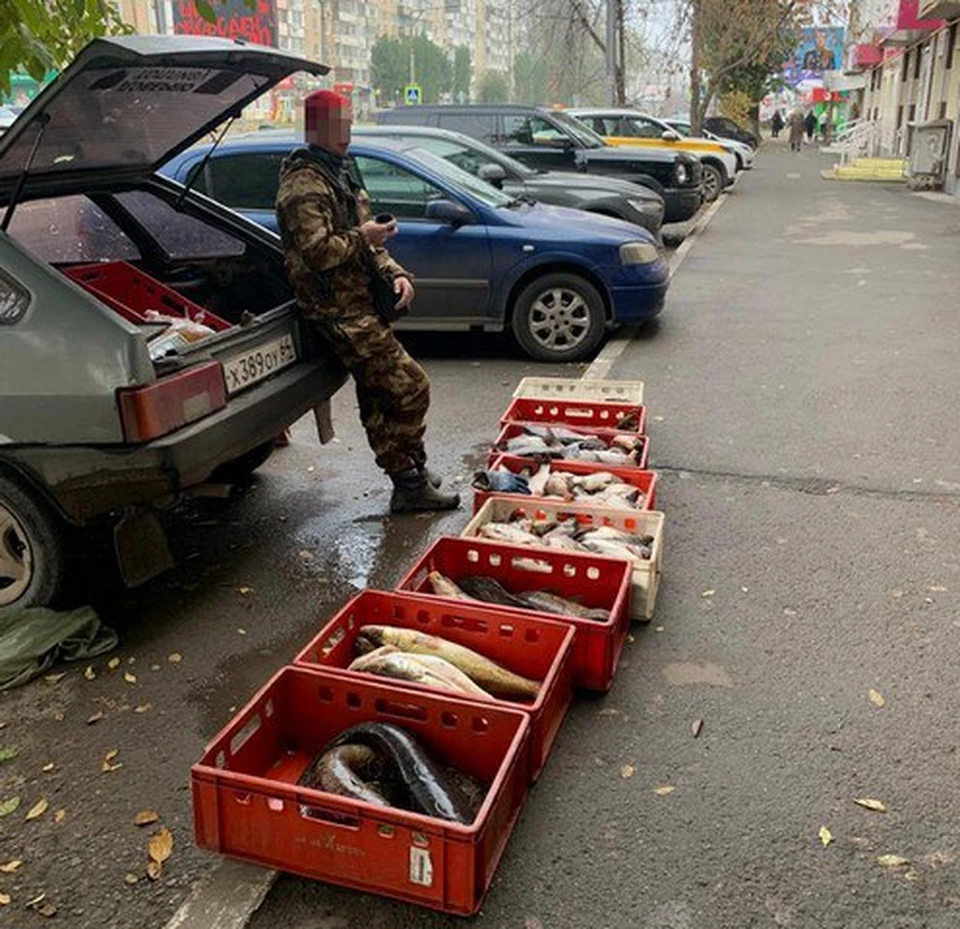 Фото: Администрация Энгельсского района