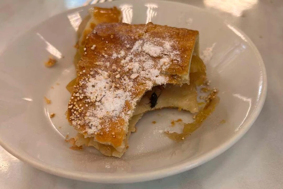 Информацию о ЧП направят в СК и Роспотребнадзор. Фото: t.me/ekaterina_mizulina