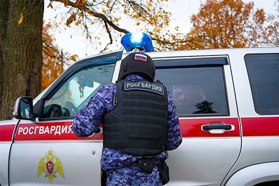 В Лобне женщина откусила ухо мужчине во время драки