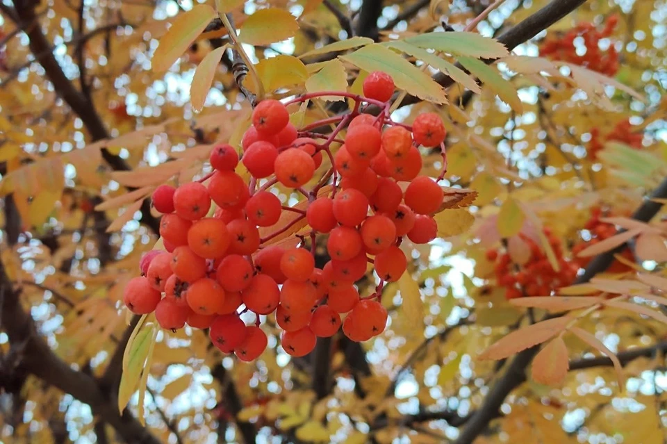 Погода остается стабильной и соответствует климатической норме региона.