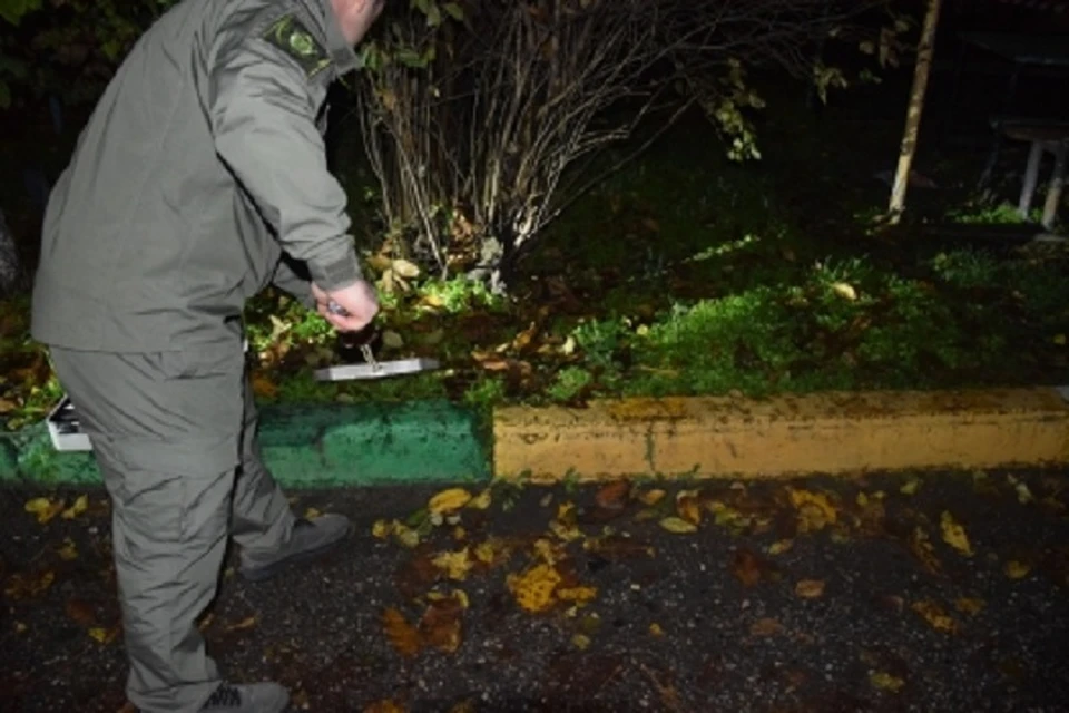 Следователи проводят сбор доказательственной базы. Фото: СУ СКР по КБР.