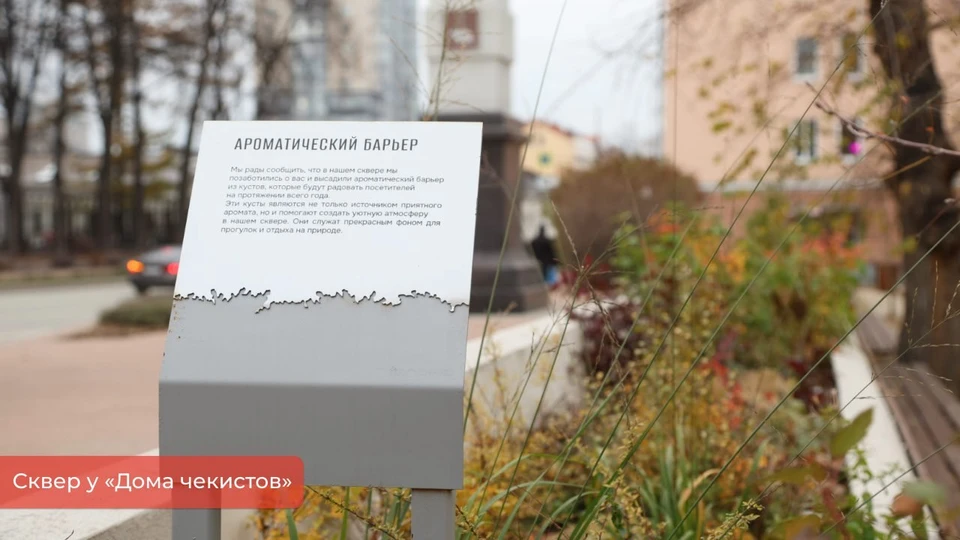 Фото: пресс-служба администрации Перми