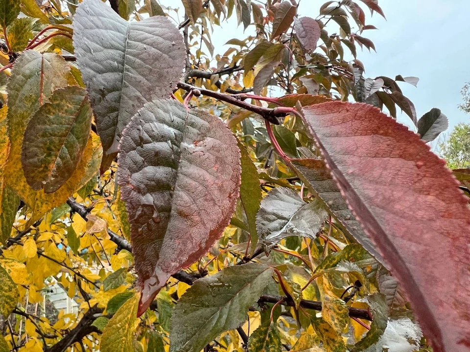 Воздух прогреется до +16 градусов