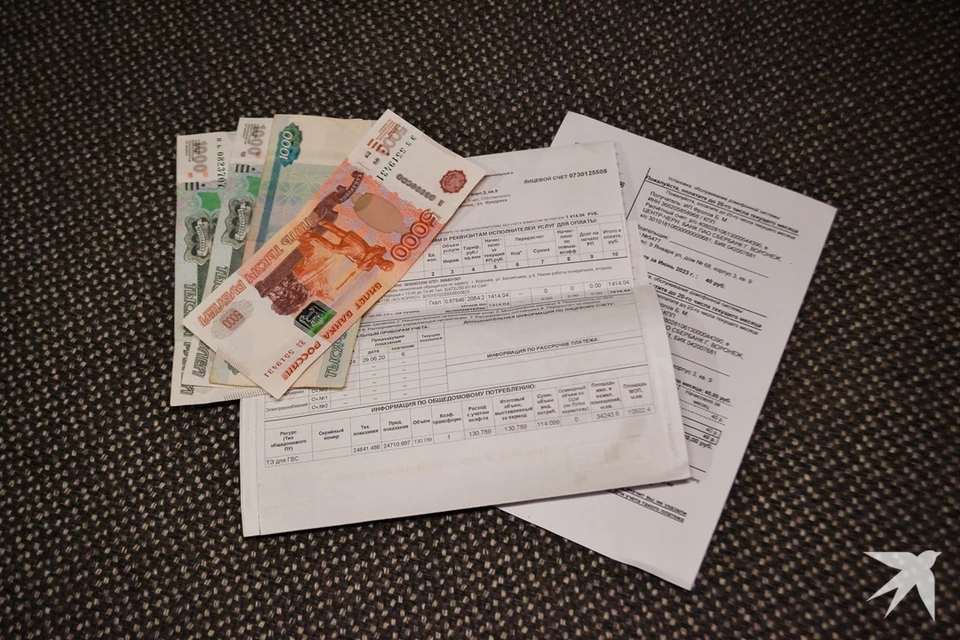 Вывоз мусора с ноября 2025 года будут начислять в квитанциях «Энергосбыт Плюс»