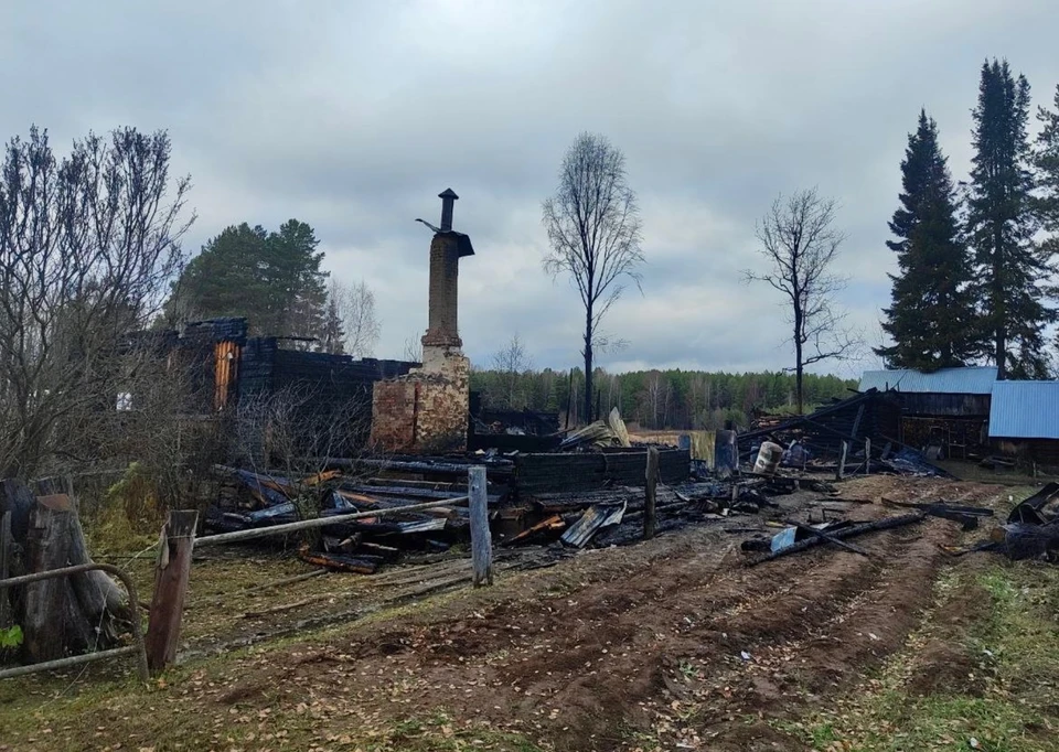 Фото: пресс-служба Следственного комитета