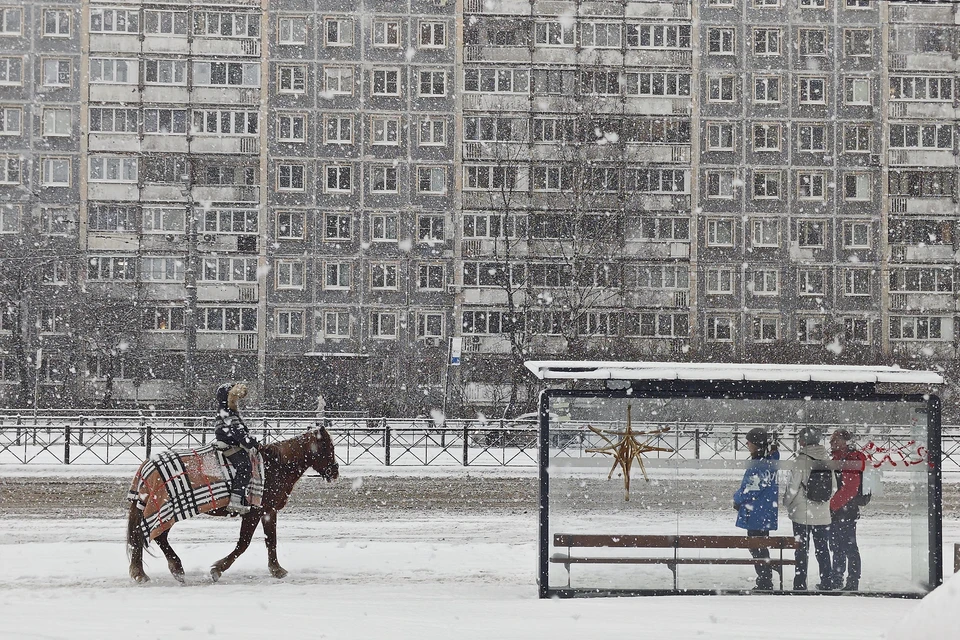 Ноябрь начнется с теплой, но пасмурной погоды.