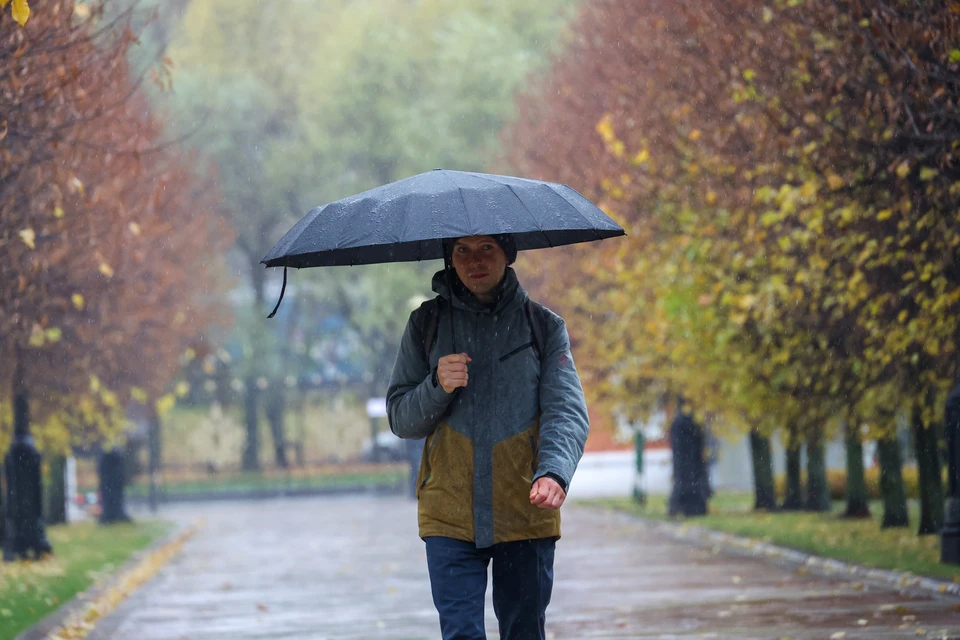Синоптик Вильфанд: в ноябре избыток осадков ожидается в четырех округах РФ