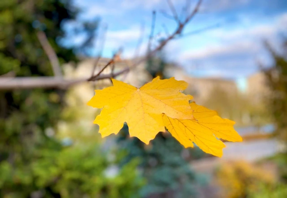 Осадки не ожидаются