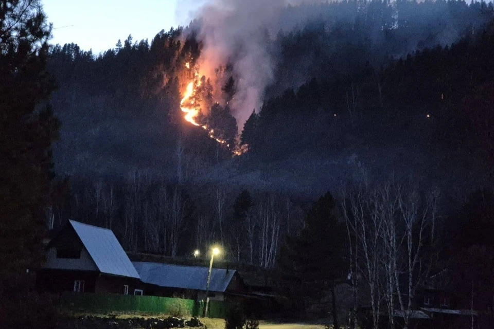 По вине жителя Шушенского выгорело более 5 гектаров леса. Фото прокуратура Краснояского края