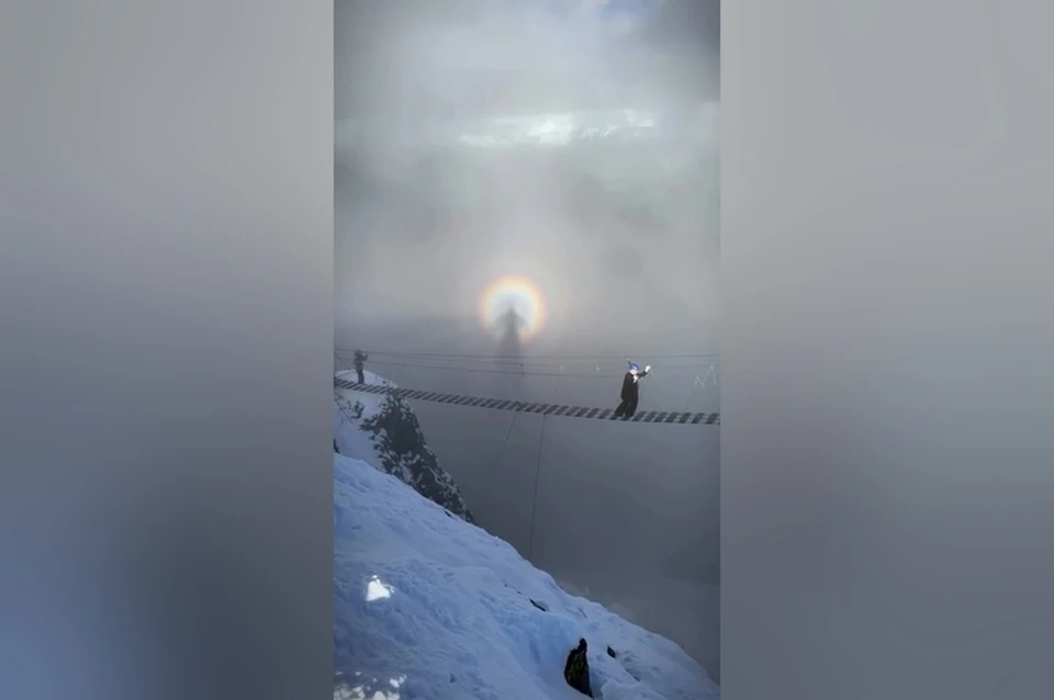 Редкие кадры сделали в горах Сочи. Фото: кадр видео из соцсетей