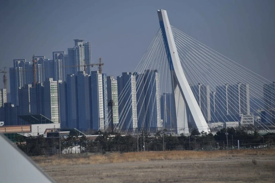 Туристка из РФ получила срок за поджог тополиного пуха в Сеуле