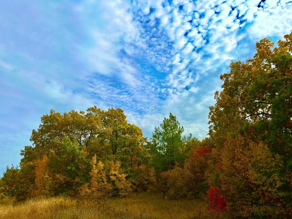 Понижение температуры воздуха снизило пожароопасность