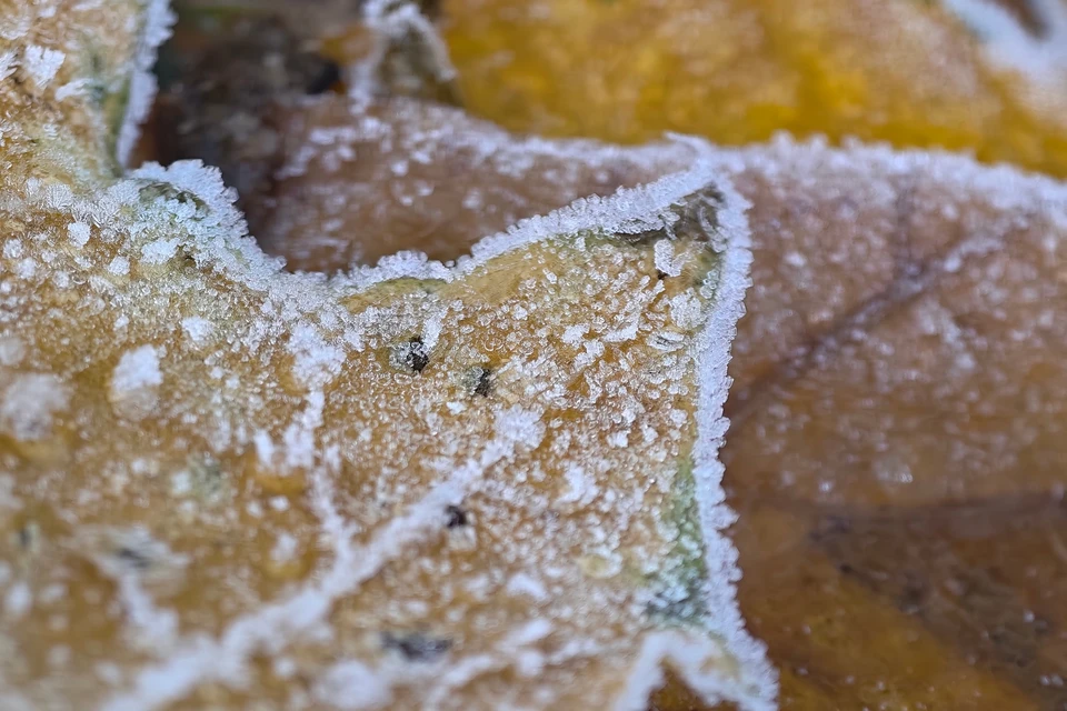 В Ульяновской области синоптики предупреждают о неблагоприятных погодных условиях. Фото архив КП