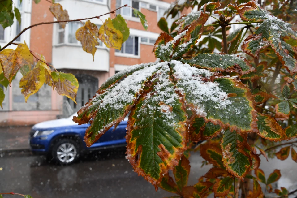 МЧС предупреждает жителей республики о непогоде.