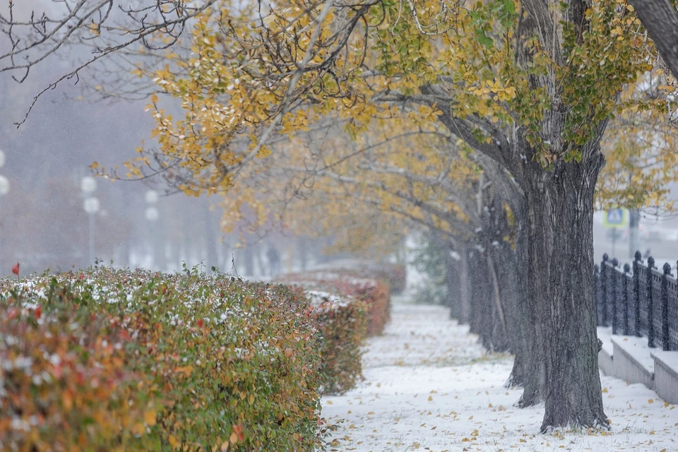 Общая стоимость работ составила 24 миллиона рублей.