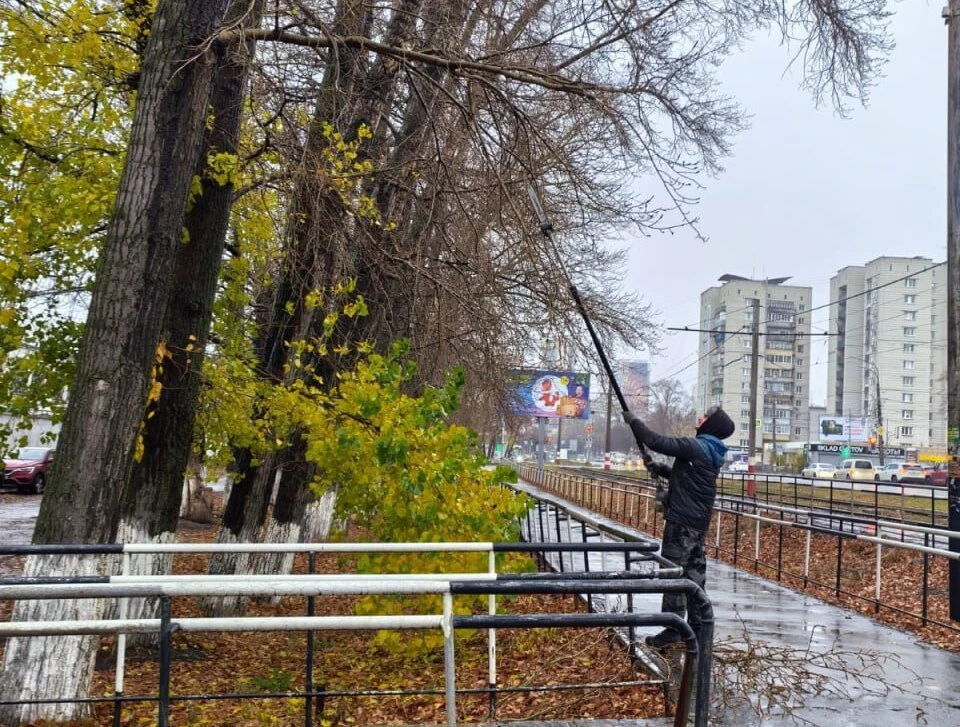 В Ульяновске провели санобрезку деревьев по четырем адресам. ФОТО: тг-канал Центра по благоустройству и озеленению Ульяновска