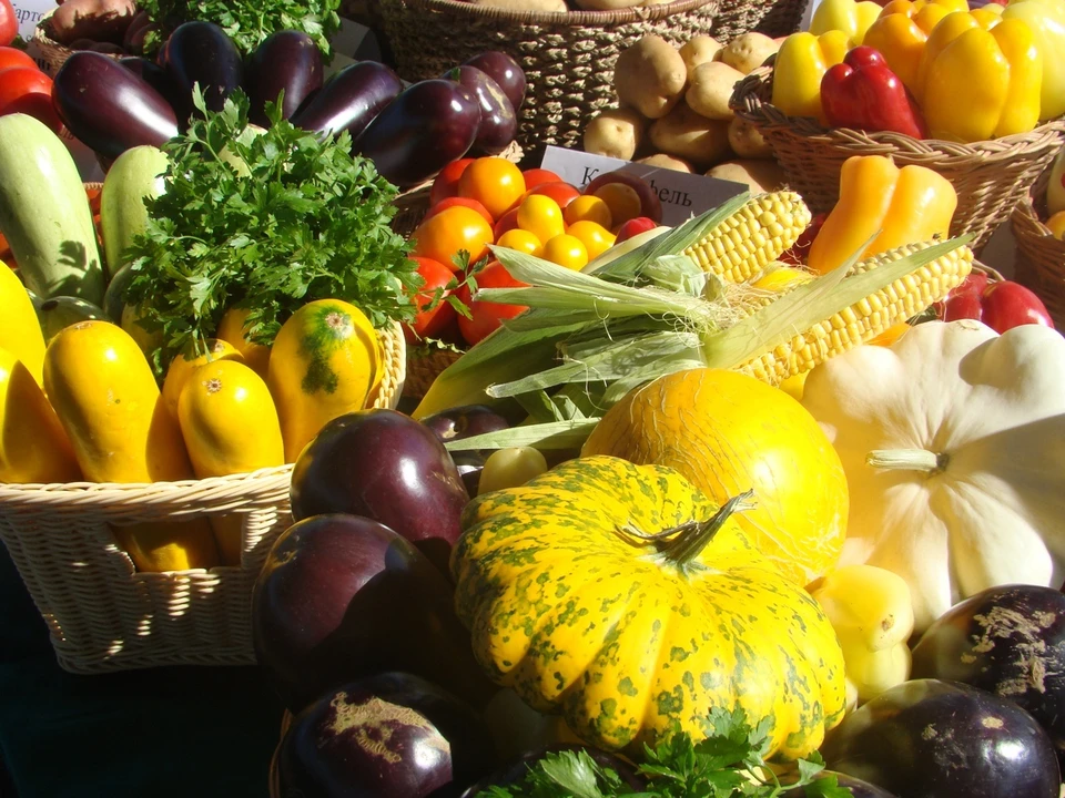 Фото: Минсельхоз Астраханской области