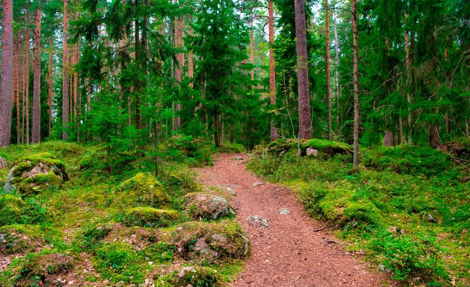 Фото: ООО "Т2 Мобайл"