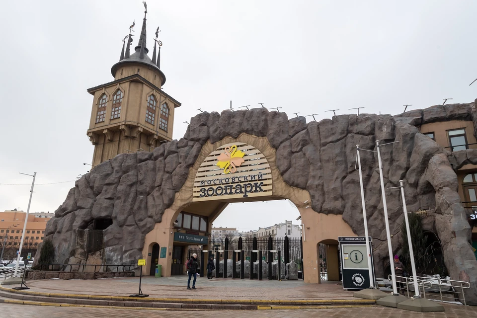 Московский зоопарк перешел на зимний режим работы с 1 ноября