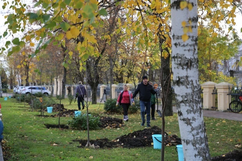 Благодаря хорошей погоде саженцы на новом месте будут чувствовать себя хорошо. Фото: пресс-службы администрации города.