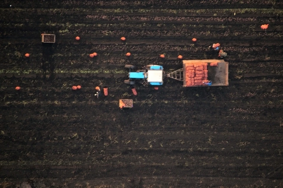 В Еврейской автономной области завершается уборка урожая