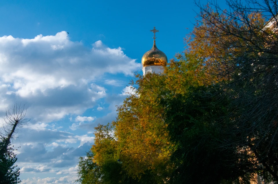 Синоптик Вильфанд спрогнозировал тёплую погоду в ноябре в Москве