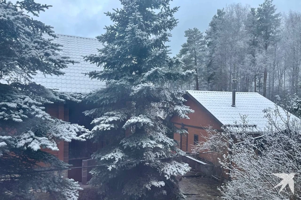 В воскресенье, 2 ноября, Екатеринбург и окрестности засыпало снегом Фото: читатель «КП»