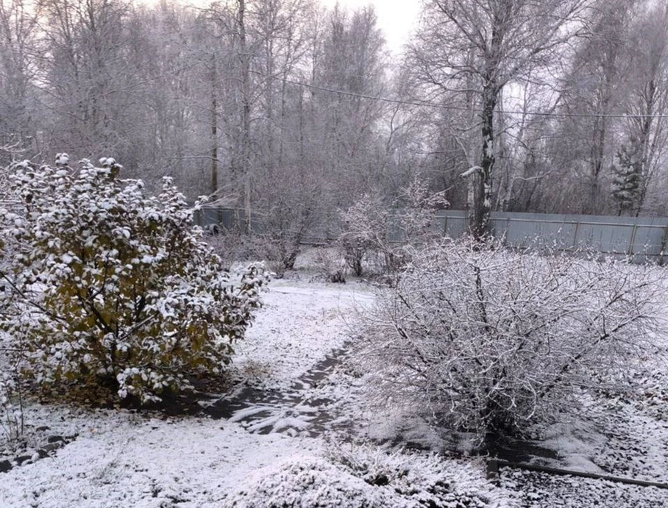 Фото: Паблик Тюмень, ВК.