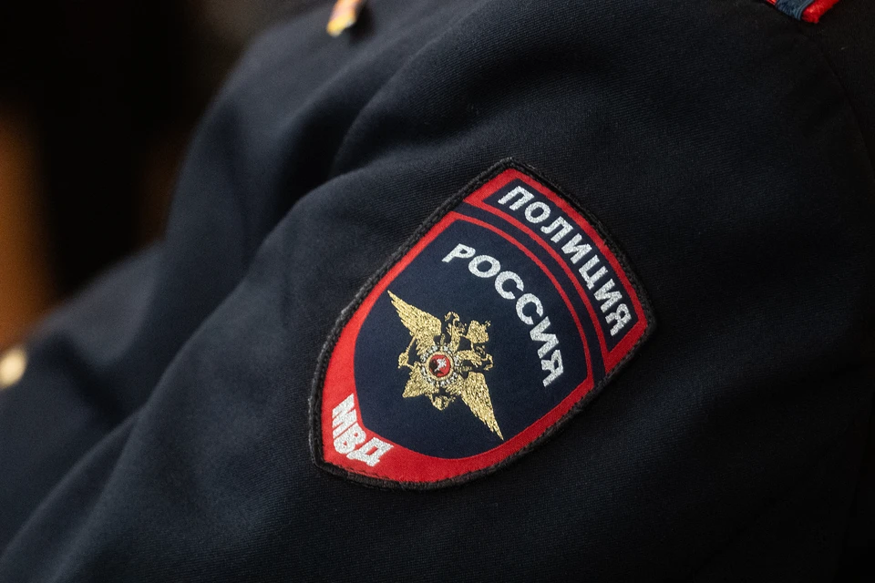 Полиция задержала поджигателя.