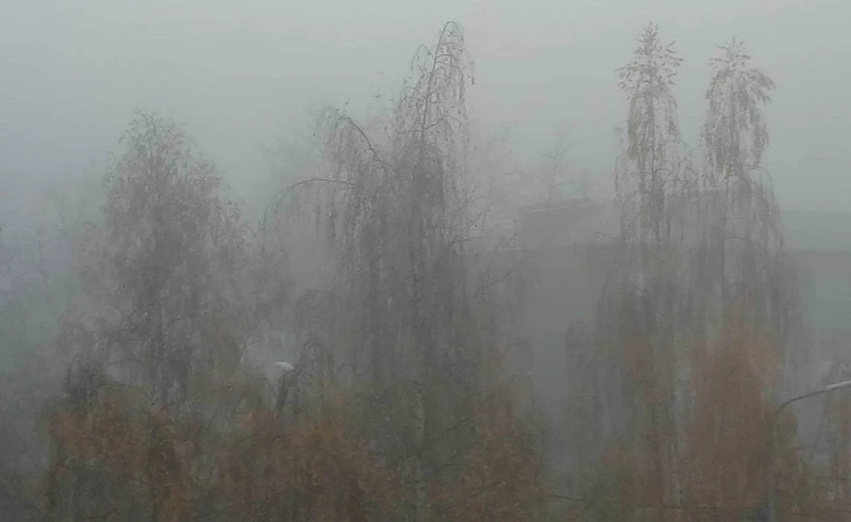 Утром Калугу накрыл туман