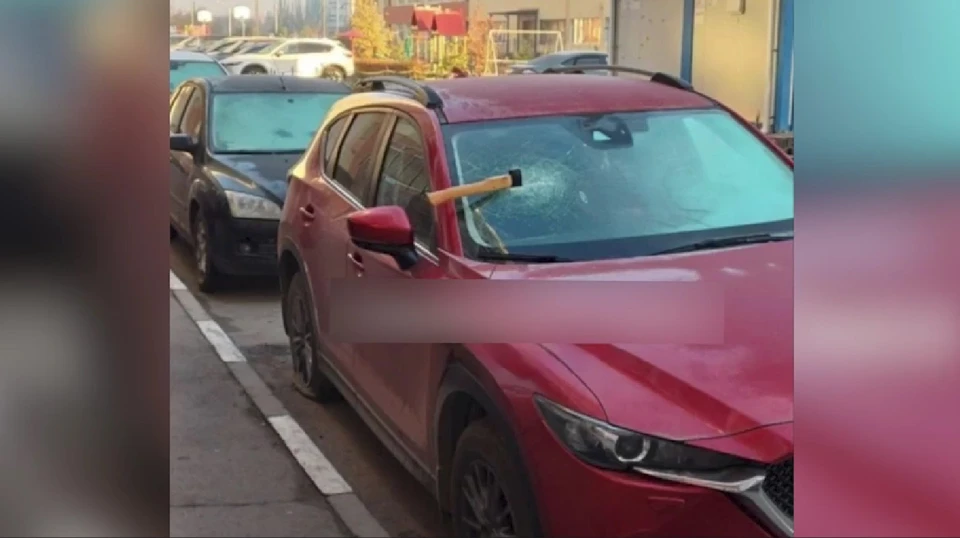 Фото: скриншот видео УМВД по Омской области