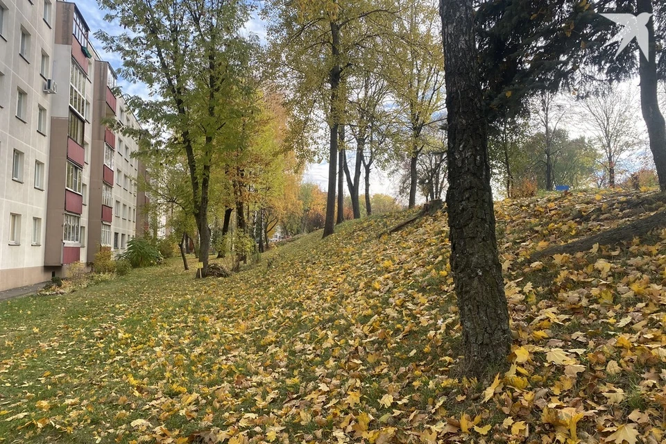 Узнали приметы и запреты 3 ноября, когда отмечают день Иллариона. Снимок носит иллюстративный характер. Фото: архив «КП»