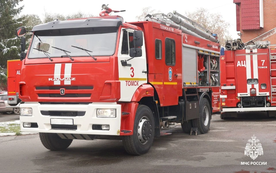 Фото: пресс-служба МЧС России по Томской области