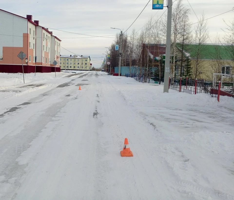 Фото: Госавтоинспекция ЯНАО