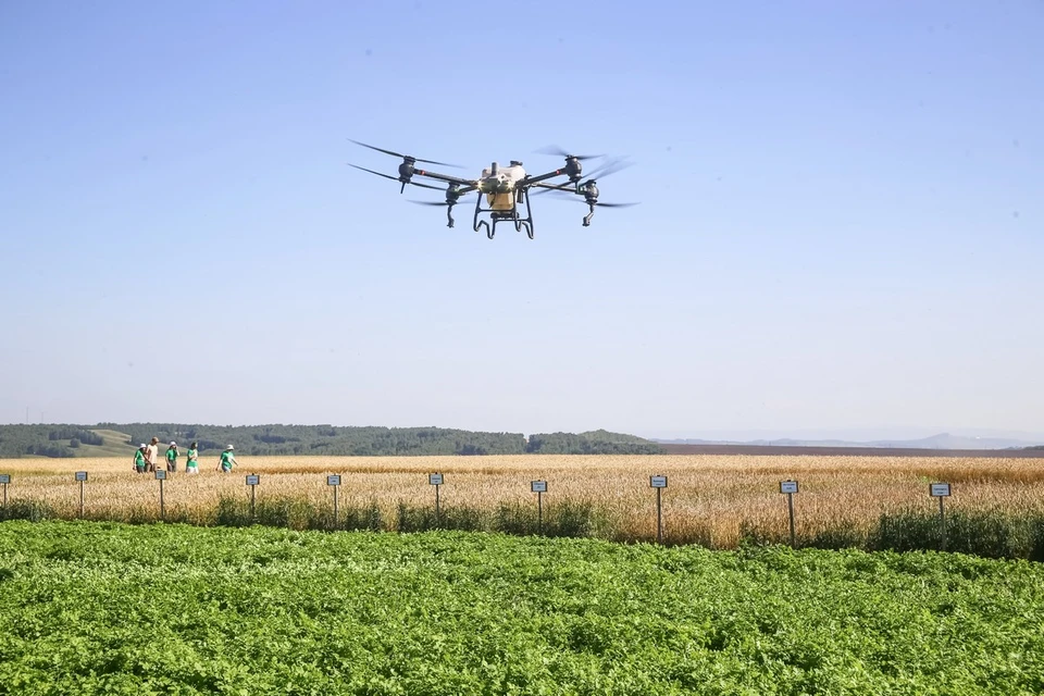 Уборочная кампания в регионе подошла к завершению