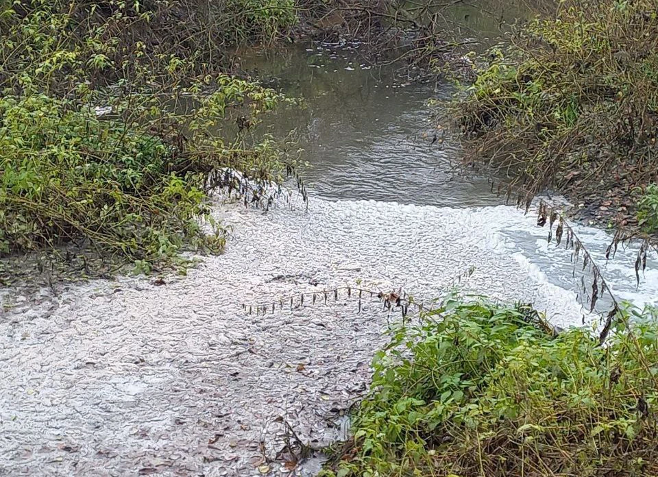 В реке погибает рыба, от воды исходит жуткий неприятный запах.