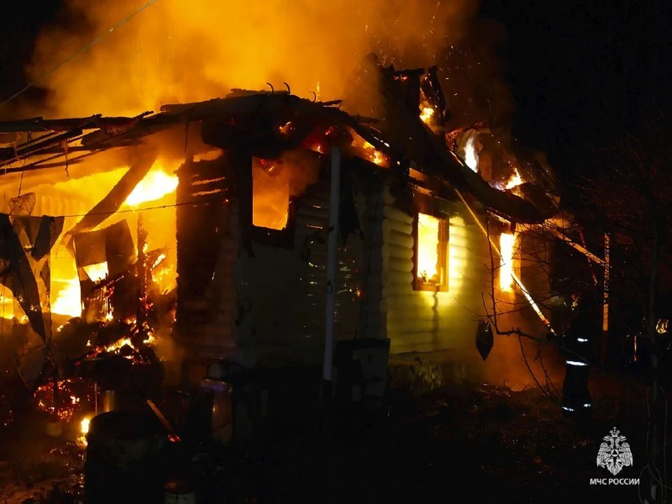 Два возгорания ликвидировали спасатели в Тульской области за сутки