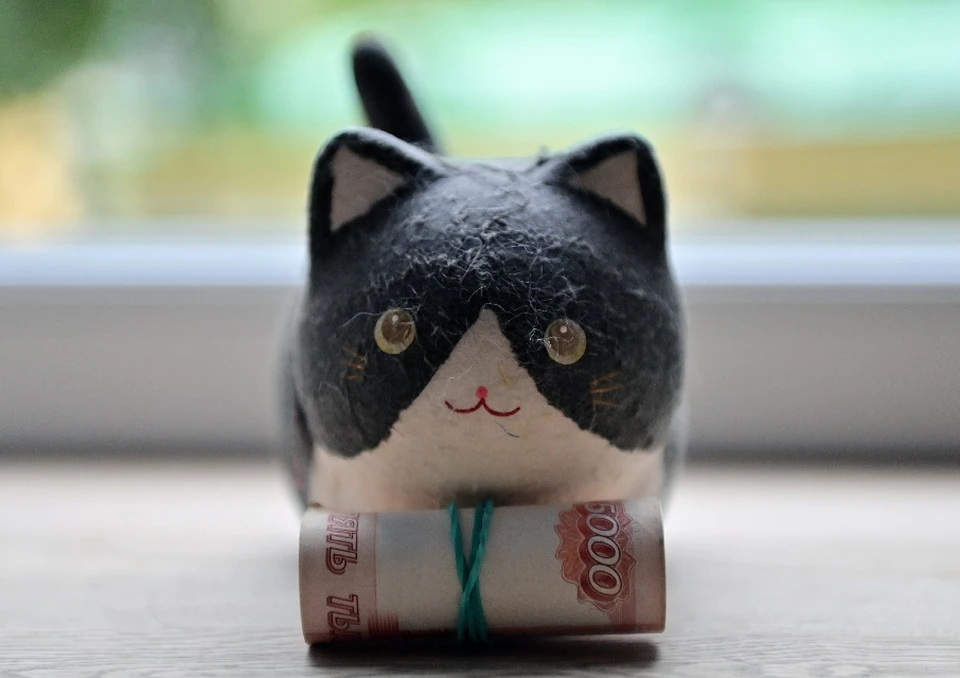 В России введут дополнительную налоговую выплату для семей с детьми: кому она полагается