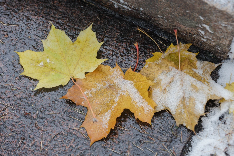 Фото: архив КП.