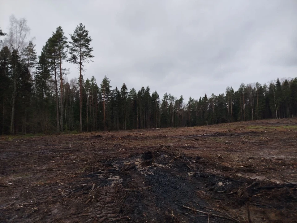 фото со страницы Владимирской областной прокуратуры в ВК