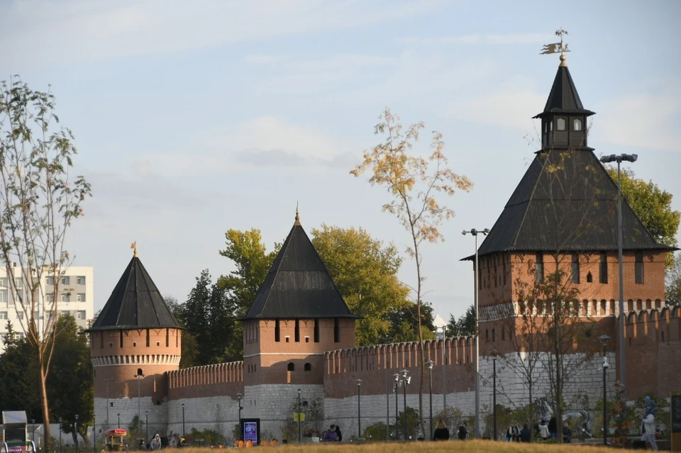 Дмитрий Миляев поздравил туляков с Днем народного единства