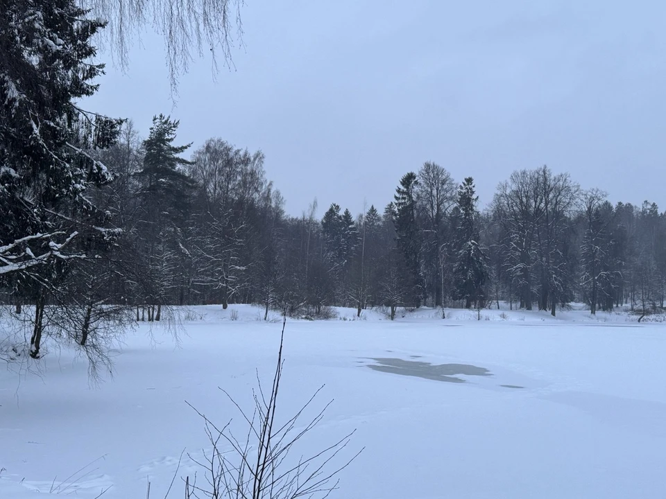 Актировка в тюменских школах в 2025-2026 учебном году.