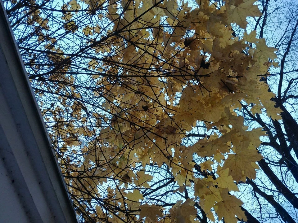 Тепло пока задержится в Калуге.