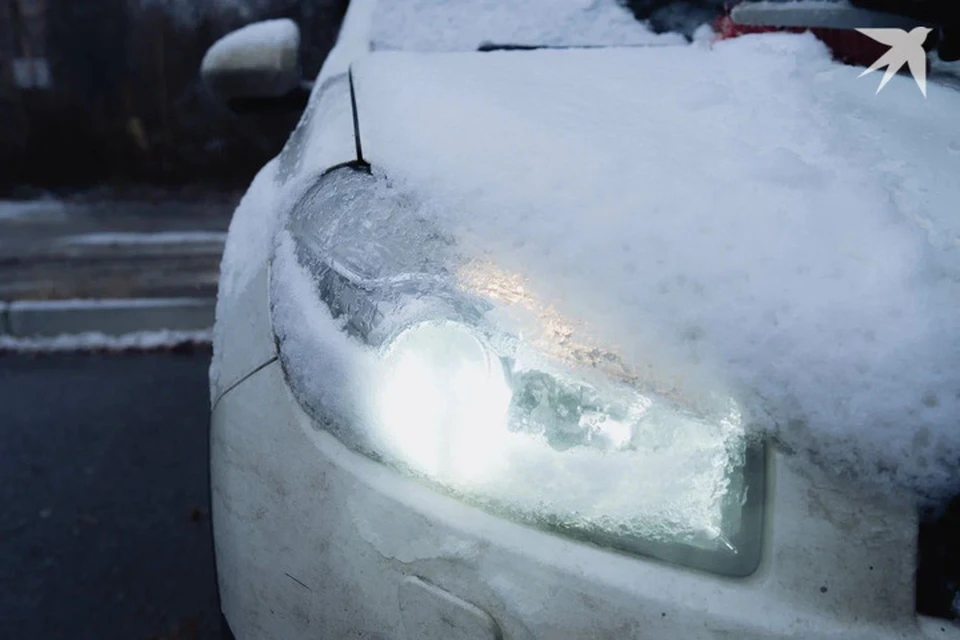 Хорошего дня! Фото: архив