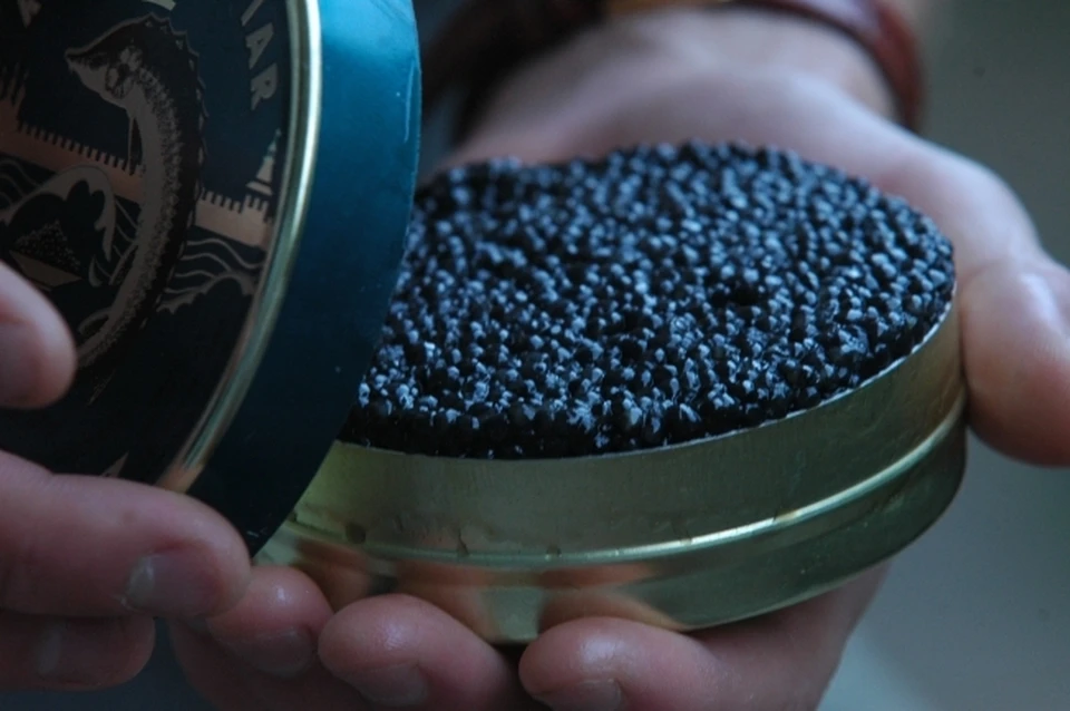 Жителя Николаевска-на-Амуре осудили за найденную черную икру